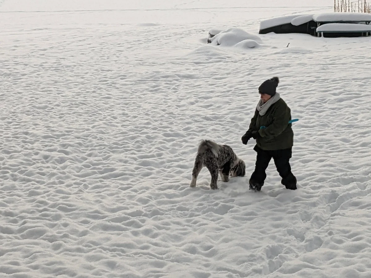 Roxanne and Diesel playing in the snow by a frozen lake